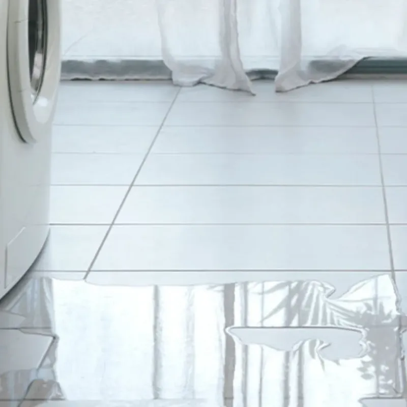 Appliance Leak Cleanup in Williamson County, TX