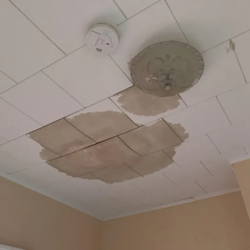 Ceiling Water Damage Repair in Williamson County, TX