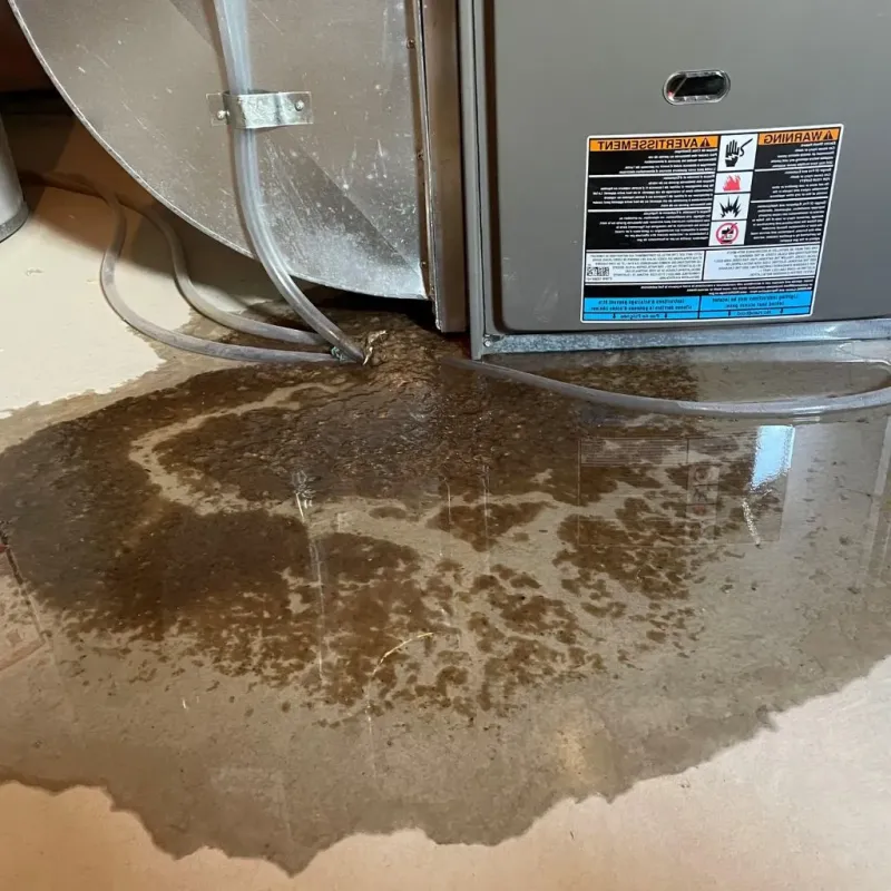 Pipe Burst and Leak Restoration in Williamson County, TX