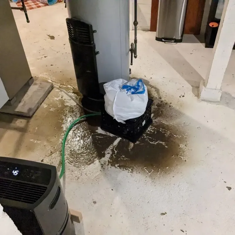 Sewage Backup Cleanup Service in Williamson County, TX